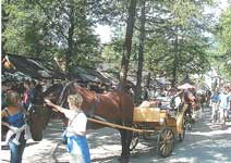 Польша. В Закопане летом